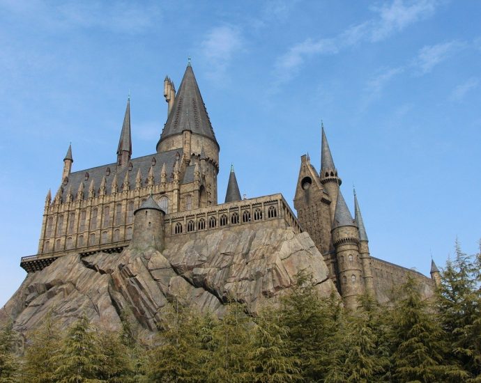 Sklep dla fanów filmu Harry Potter
