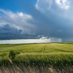 Budowa wiat dla rolnictwa